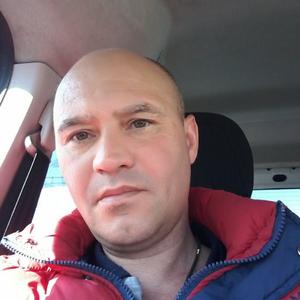 Владимир Скрипченко, 49 лет, Нижний Новгород