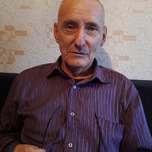 Николай, 67 лет, Тихвин