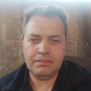 Sergei, 46 лет, Кинешма