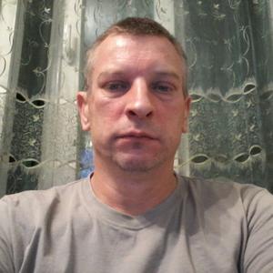 Андрей Рогожин, 45 лет, Красково