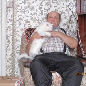 Парни в Саяногорске: Александр, 65 - ищет девушку из Саяногорска