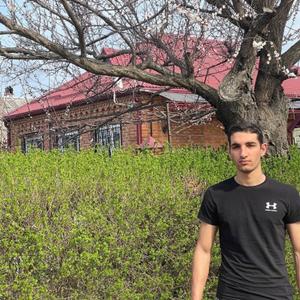 Рустам, 20 лет, Краснодар