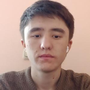 Ali, 22 года, Москва