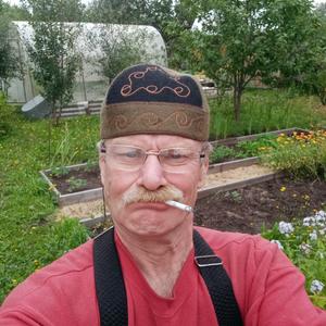 Васёк, 63 года, Ижевск