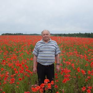 Валентин, 84 года, Череповец