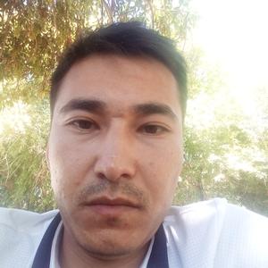 Еркин, 33 года, Кызылорда