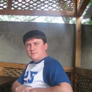 Сергей Подшеваленко, 42 года, Белгород