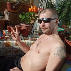 Алексей, 49 лет, Молочный