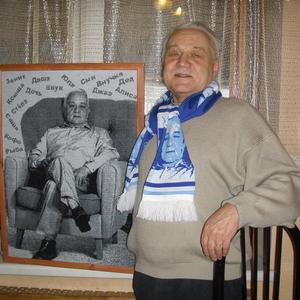 Михаил, 77 лет, Санкт-Петербург