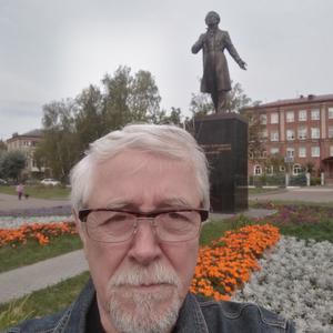 Владимир, 72 года, Павловский Посад