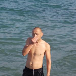 Александр, 42 года, Суворов