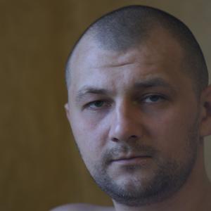 Serg Meladze, 43 года, Воронеж