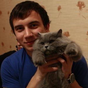 Владислав, 28 лет, Пинск