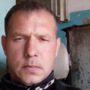 Владимир, 43 года, Углезаводск