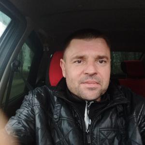 Анатолий, 42 года, Воронеж