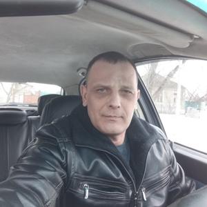 Андрей Беляев, 42 года, Воронеж