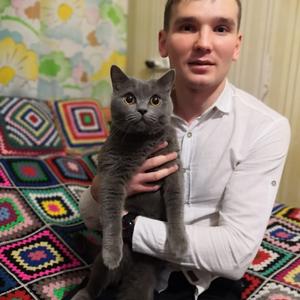 Дмитрий, 32 года, Новочебоксарск