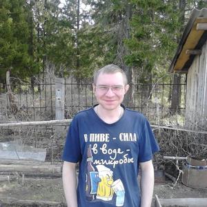 Maxim Stepanov, 38 лет, Ижевск