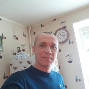 Михаил, 44 года, Новомосковск