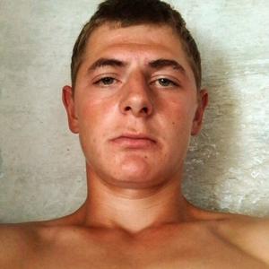Павел Вольф, 22 года, Омск