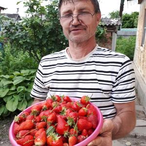 Лева, 46 лет, Краснодар