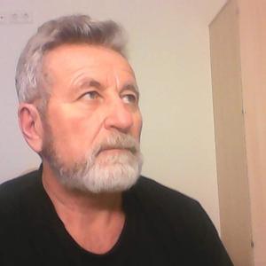 Анатолий, 74 года, Самара