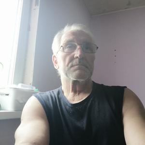 Александр Скориков, 66 лет, Самара