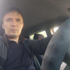 Alisher, 40 лет, Ташкент