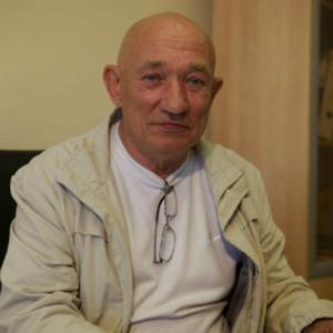 Николай, 70 лет, Октябрьский