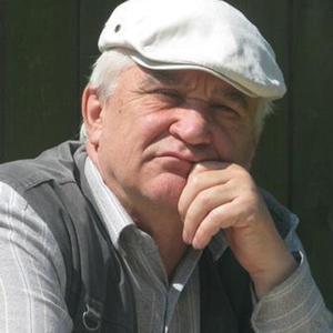 Владимир, 81 год, Пересвет