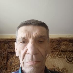 Владимир, 71 год, Москва