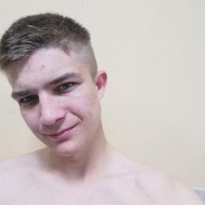 Кирилл, 24 года, Луга