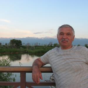 Василий, 64 года, Воронеж