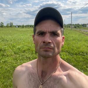 Иван, 43 года, Александров