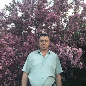 Анатолий, 51 год, Домодедово