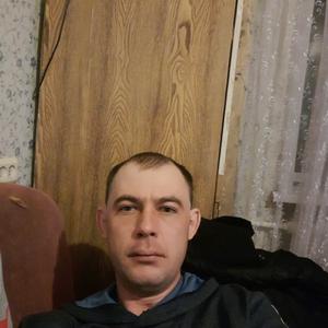 Евгений Сотников, 28 лет, Барнаул