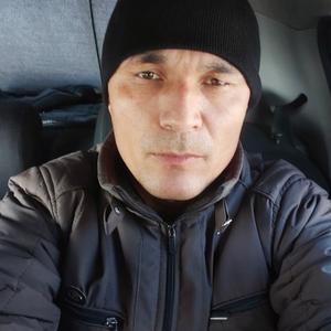 Шохрух, 42 года, Ташкент