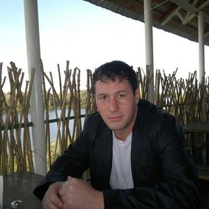 Алексей Дудкин, 43 года, Новосибирск