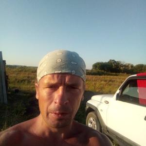 Иван, 45 лет, Лыткарино