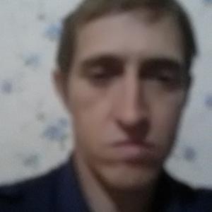 Владимир, 42 года, Новосибирск