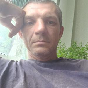 Николай, 44 года, Ростов-на-Дону