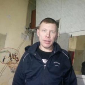 Владимир, 44 года, Томск