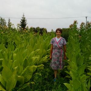 Елена, 51 год, Пикалево