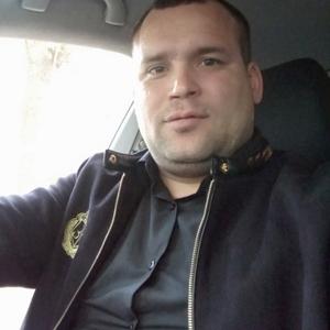 Денис Максимов, 36 лет, Тольятти