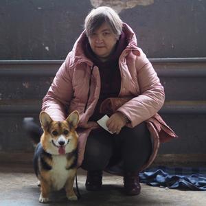 Ирина, 56 лет, Ярославль
