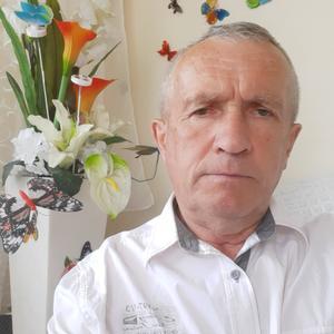 Павел, 73 года, Курск