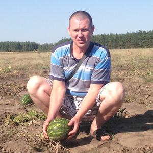 Дмитрий, 44 года, Иваново