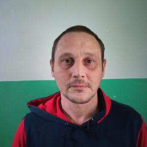 Evgen Makarov, 39 лет, Тюмень