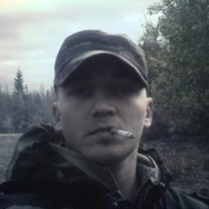 Парни в Северодвинске: Николай, 43 - ищет девушку из Северодвинска