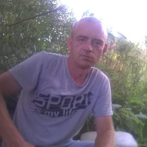 Николай Мухрин, 46 лет, Сергиев Посад